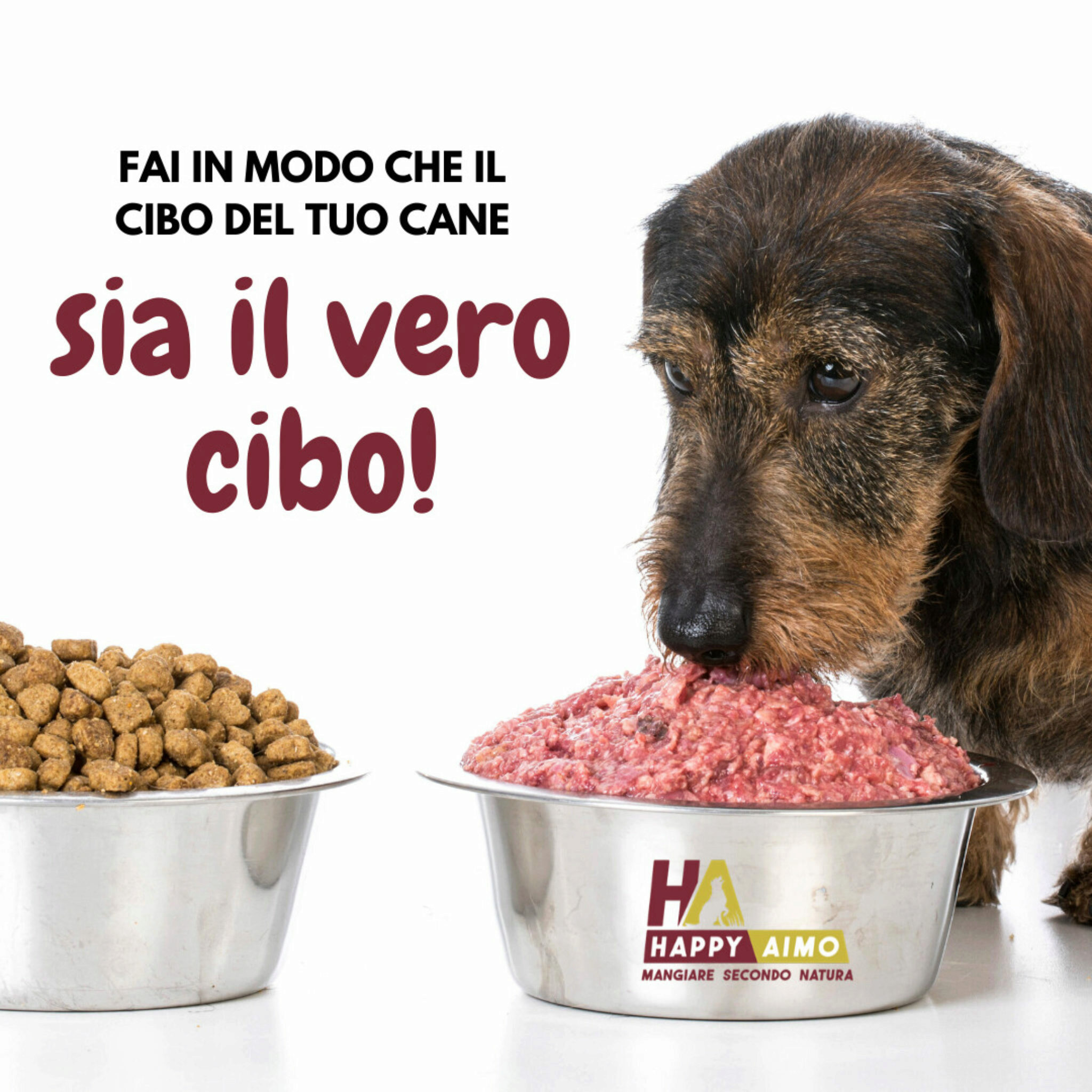 I Cani Possono Mangiare Carne Cruda? La Verità Sulla Dieta Del Cibo Per Cani Crudo